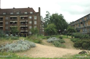 Wild herb garden on Loughborough Estate
