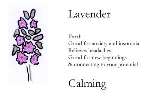 lavender copy